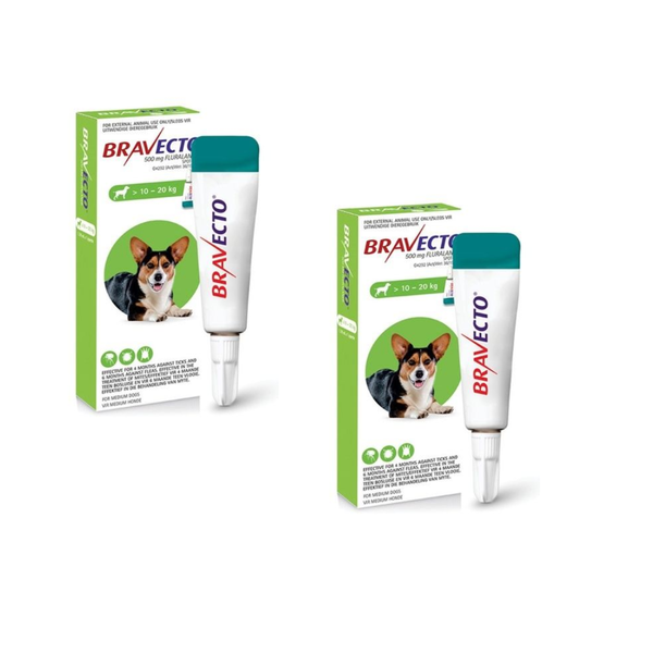 Bravecto Tick &amp; Flea Spot On for Dogs Medium >10 - 20kg (Green box) 2 Pack