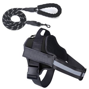 Pet Harness Quality Dog &amp; Lead