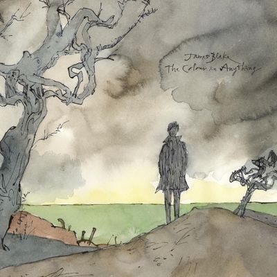 The Colour in Anything (Vinyl / 12" Album)