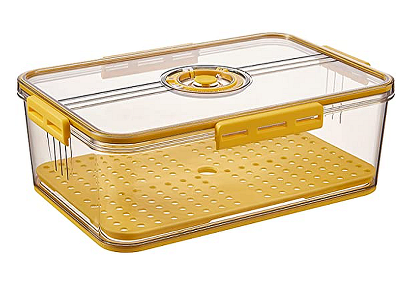 Fridge Storage Containers BPA-free