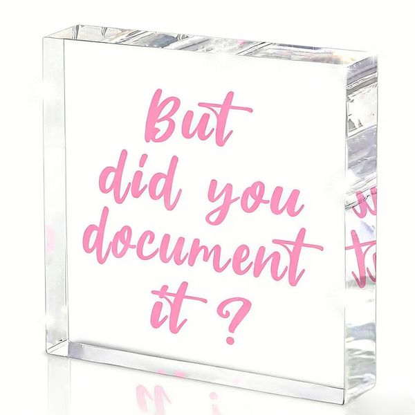But Did You Document It Pink Acrylic Sign, Fun Friend Colleague Gift