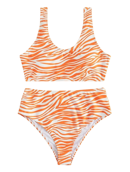 Zebra Stripe High Waisted Bikini Swimsuit