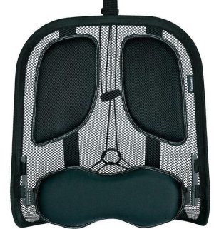 Fellowes Professional Series Mesh Back Support