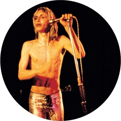 More Power (Vinyl / 12" Album Picture Disc)