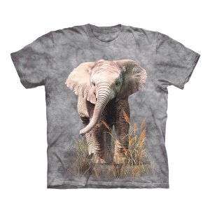 Kool Africa - Baby Elephant Brown Cotton Short Sleeve Round T-shirt