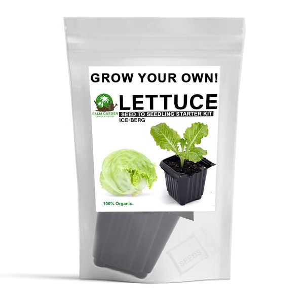 Palm Garden Grow Your Own Iceberg Lettuce Plant - Seed to Seedling Kit