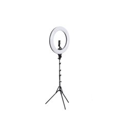 Fleek Photography Ring Light 14-Inch