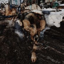Primitive Energetics (Vinyl / 12" Album)
