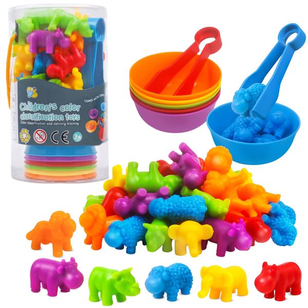Colorful Montessori Sorting Stacking Toy Early Learning Cognition For Kids