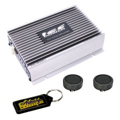 Ice Power Mini Compact 8000w Monoblock Amplifier &amp; Evo Tweeters &amp; Keyring
