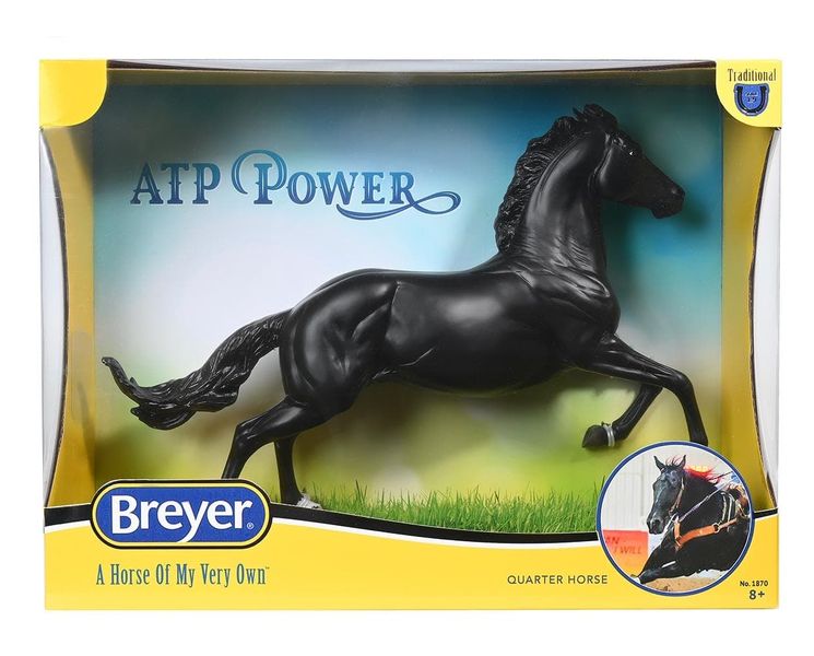 ATP Power Amberley Snyder's Barrel Racer