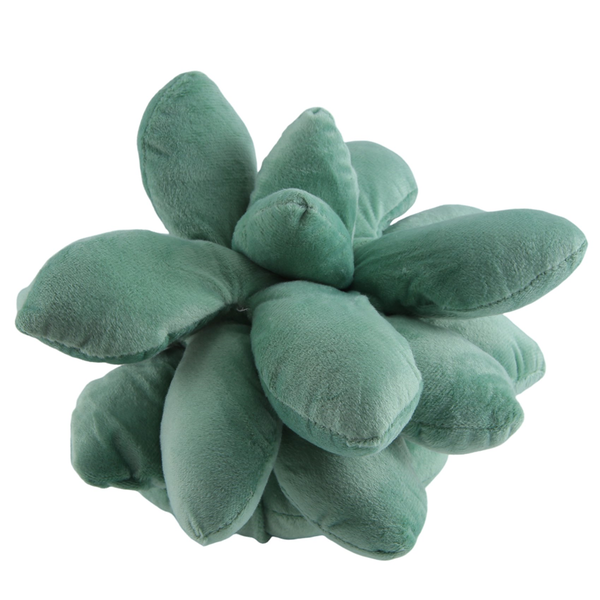 Succulent Pillow For Garden Or Green Lovers Or Room Home Decoration S