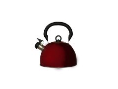 Induction kettle