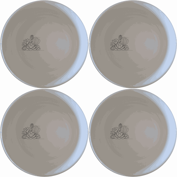 Succulent Garden Bowl Set of 4 - Range 2