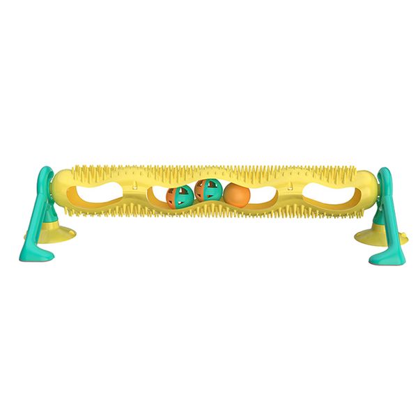 Pet Cat Educational Toys Track Ball Circle Track Cat Toy