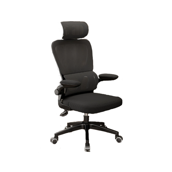 Furnny Ergonomic Office Chair with 3D Adjustable Headrest and Armrests Up