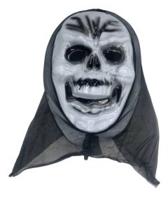 White Skull with Veil Halloween Mask