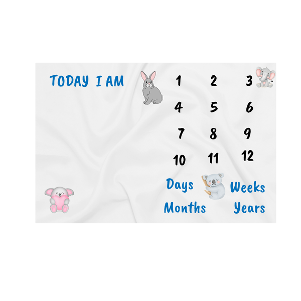 Katz Designs Baby Blanket -Blue Milestone Themed