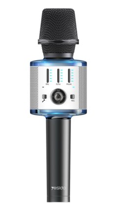 Karaoke Microphone Music Speaker | AW