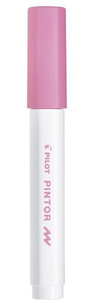 Pilot SW-PT Fine Point Pintor Paint Marker - Box of 6 - Pink
