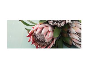 Protea Green Trio Full Desk XL Gaming &amp; Office Mouse Pad
