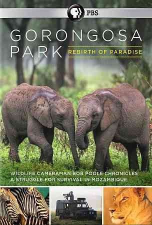 Gorongosa Park:Rebirth of Paradise - (Region 1 Import DVD)
