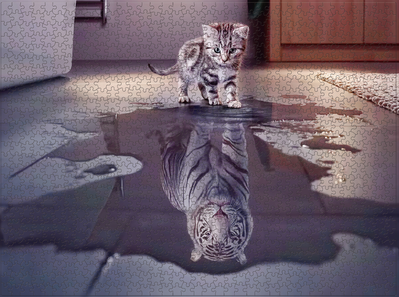 1000 Piece Jigsaw Puzzle / Educational Toy - Believe in Yourself