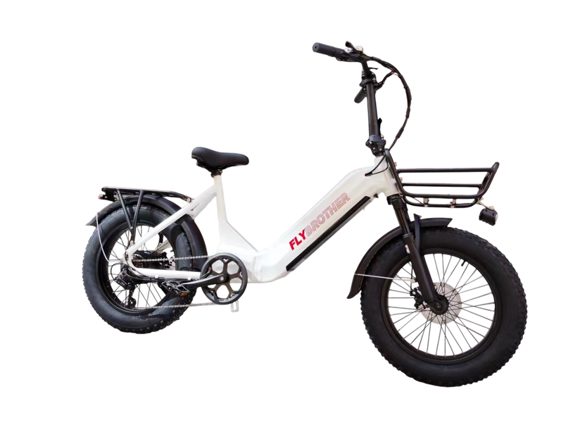 Electric Bicycle 750W 48V