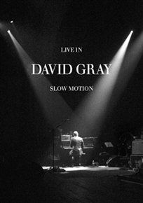 David Gray: Live in Slow Motion(DVD)