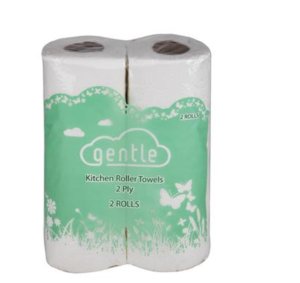 Gentle 2 Ply 2 Pack Paper Towel x 2