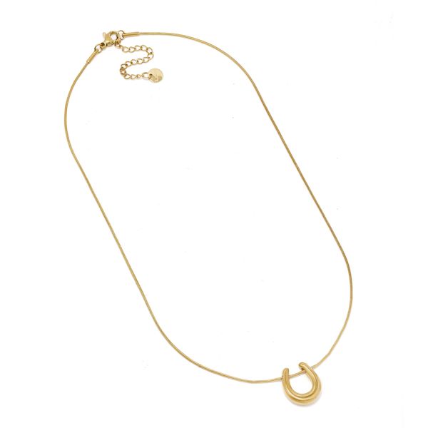 Steel My Heart Waterproof Stainless Steel Horseshoe Necklace