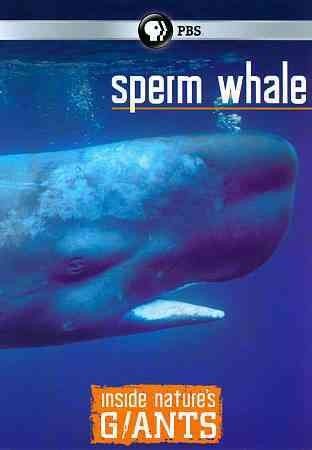 Inside Nature's Giants: Sperm Whale (DVD)