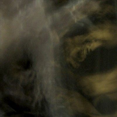 Pixyblink - Fungi From (CD)