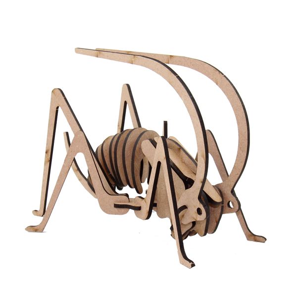 Wow We | 3D Wooden Model | Insects | Grasshopper (Small)
