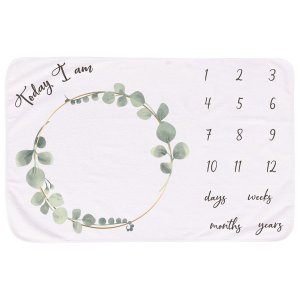Echo Baby Milestone Blanket Soft Plush Fleece Memory Blanket