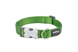 Red Dingo Classic Collar - Classic Green