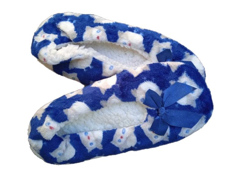 Women Winter Soft Plush Cotton Shoes - Blue - US 6