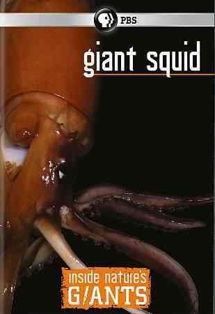 Inside Nature's Giants:Giant Squid - (Region 1 Import DVD)
