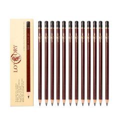 12 Drawing Art Sketching Professional Sketch Pencils Set