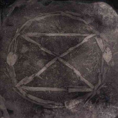 King E Common Eider - Extinction (CD)