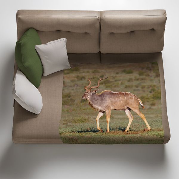Male Kudu Light Weight Fleece Blanket by Fanie Heymans