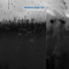 The Unidentifiable (CD / Album)