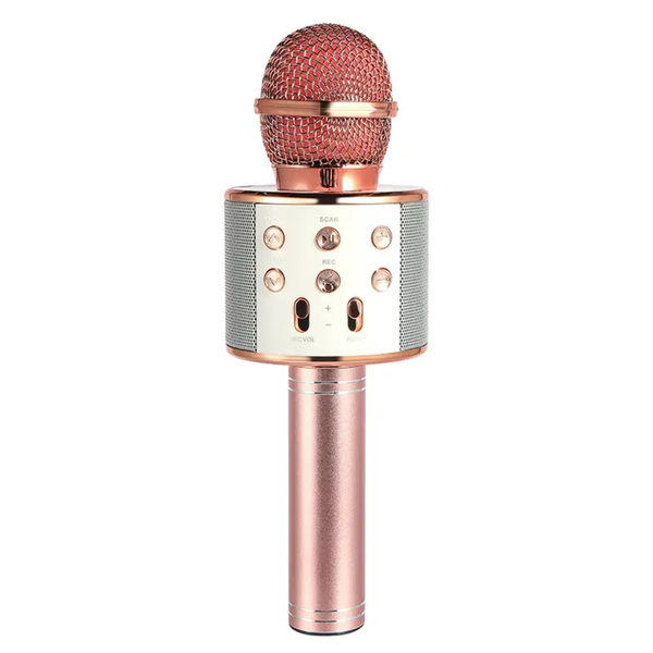 Wireless Microphone