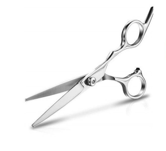 Professional Hair Dressing Scissor 1 Piece Silver