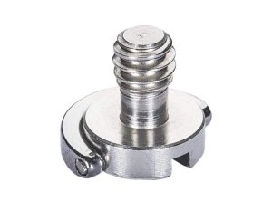 1/4 inch Screw