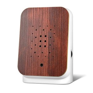 Jungle Box Teak