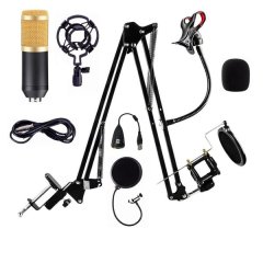 Professional Condenser Studio Microphone With Stand and Phone Holder