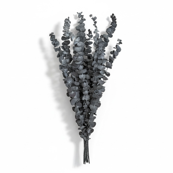 Preserved Eucalyptus Leaves - Elegant Natural Decorative Dried Stem Bouquet