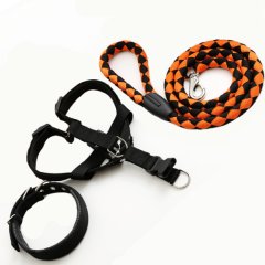Head Tilt Three Piece Leash.Collar.Harness Kit