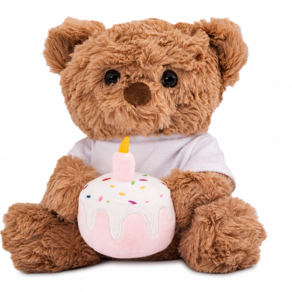 20cm (Seated) Plush Teddy Bear With Printable Shirt - Birthday